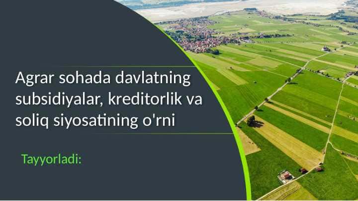 Agrar sohada davlatning subsidiyalar, kreditorlik va soliq siyosatining o'rni . Slayd