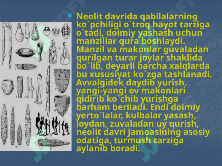 O`rta Osiyoda Neolit davri 5