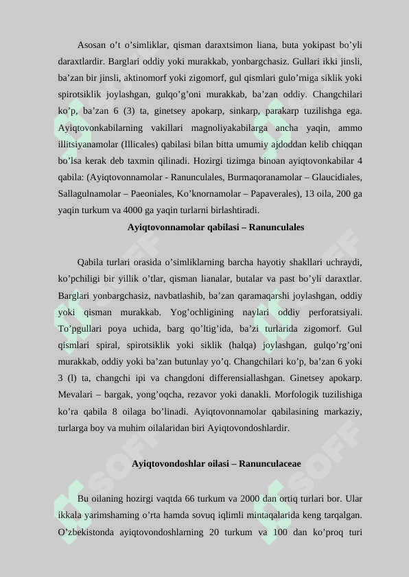 Ayiqtovonkabilar kichik ajdodi 2