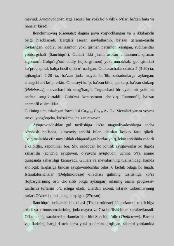 Ayiqtovonkabilar kichik ajdodi 3