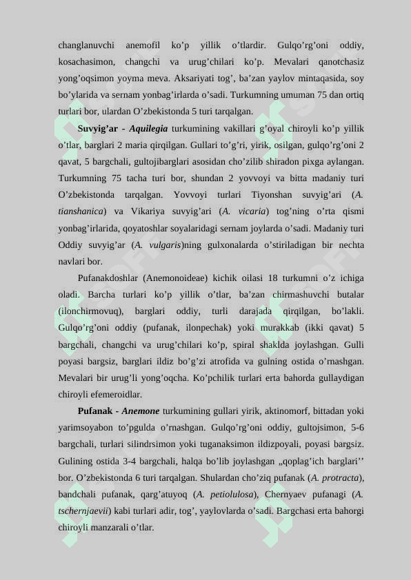 Ayiqtovonkabilar kichik ajdodi 4