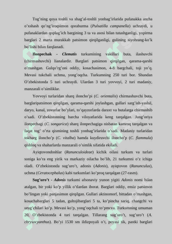 Ayiqtovonkabilar kichik ajdodi 5