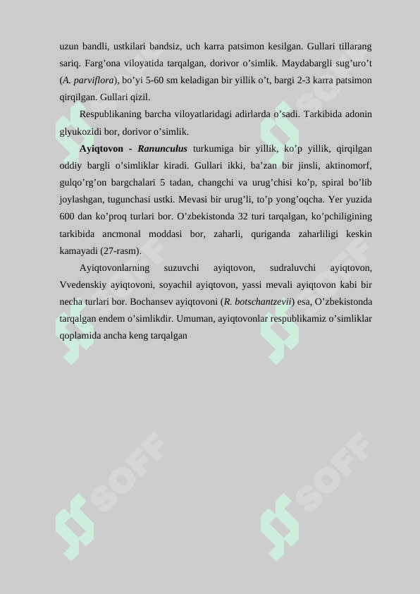 Ayiqtovonkabilar kichik ajdodi 6