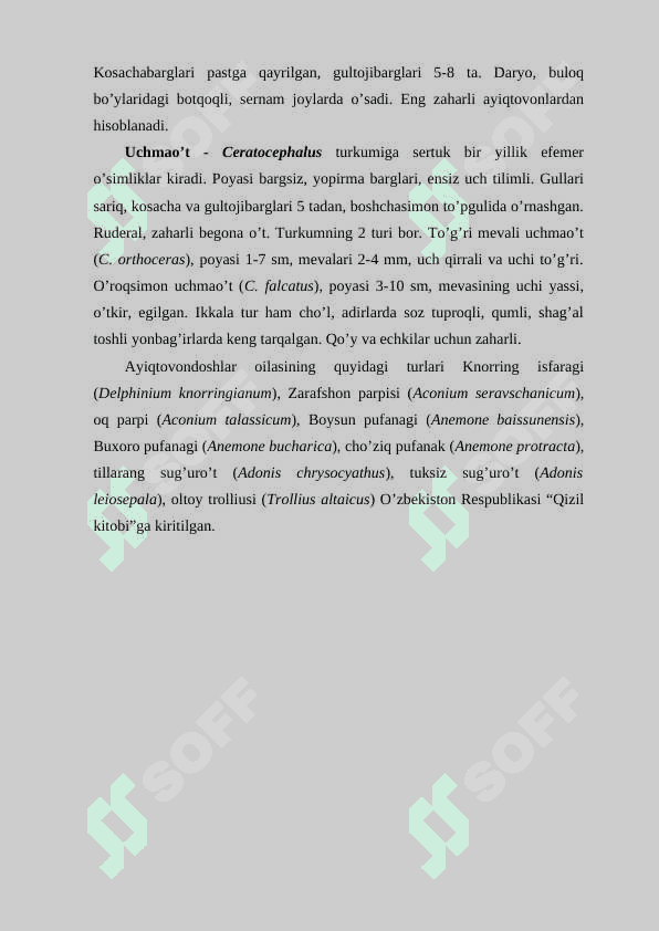Ayiqtovonkabilar kichik ajdodi 8
