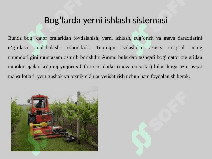 Bogʻlarda tuproq unumdorligini oshirish chora tadbirlari 2