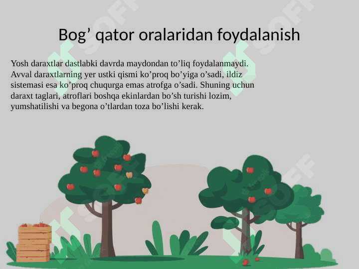 Bogʻlarda tuproq unumdorligini oshirish chora tadbirlari 3