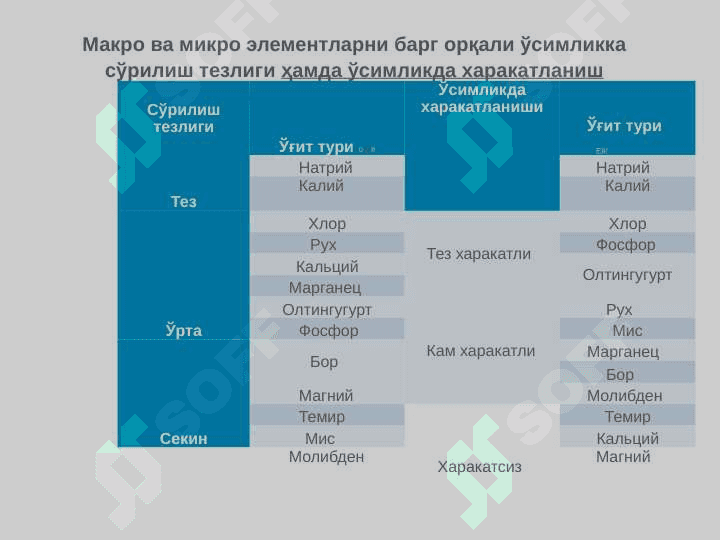 МЕВАЛИ БОғЛАРНИ ОЗИҚЛАНТИРИШ ТАДБИРЛАРИ 4