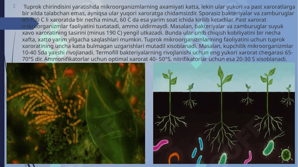 Tuproqning issiqlik rejimi va uni boshqarish usullari. 5