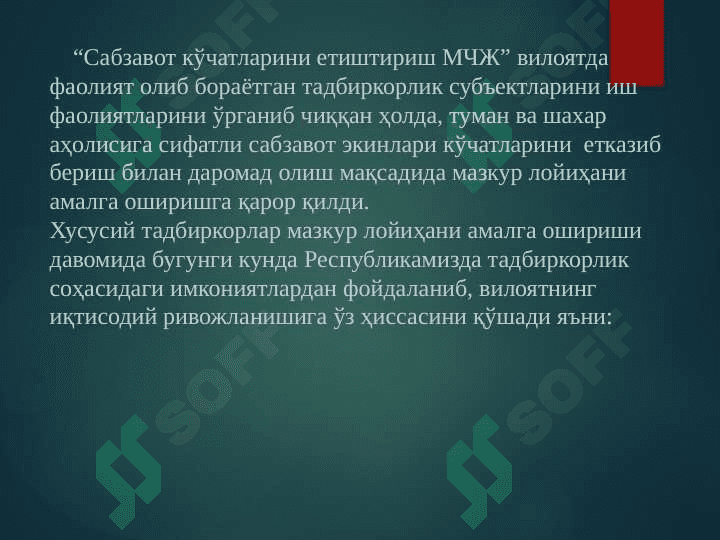 Сабзавот кўчатларини етиштириш 4