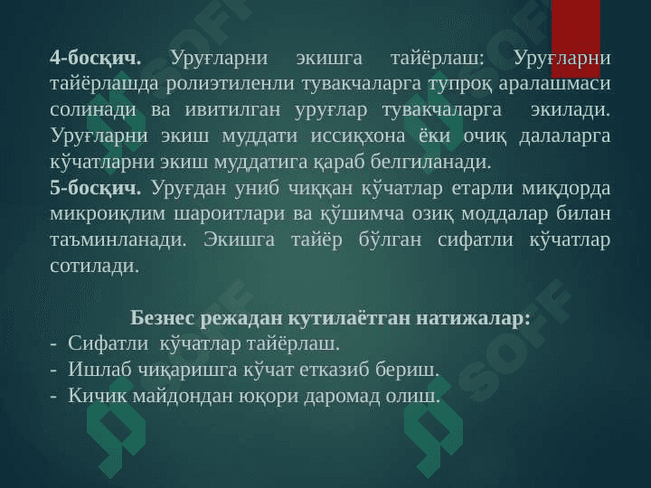 Сабзавот кўчатларини етиштириш 7