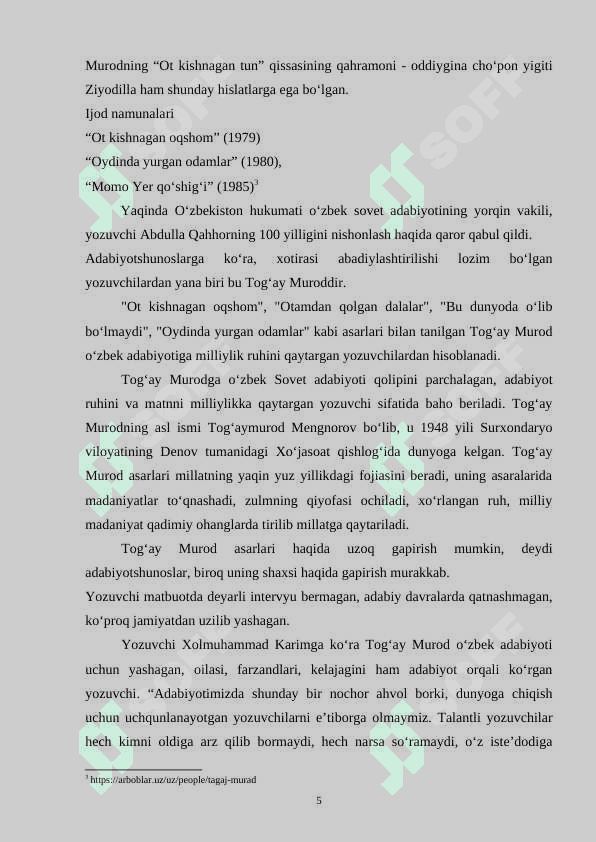 Togʻay Murod romanlarida shaxs fojiasi talqini 6