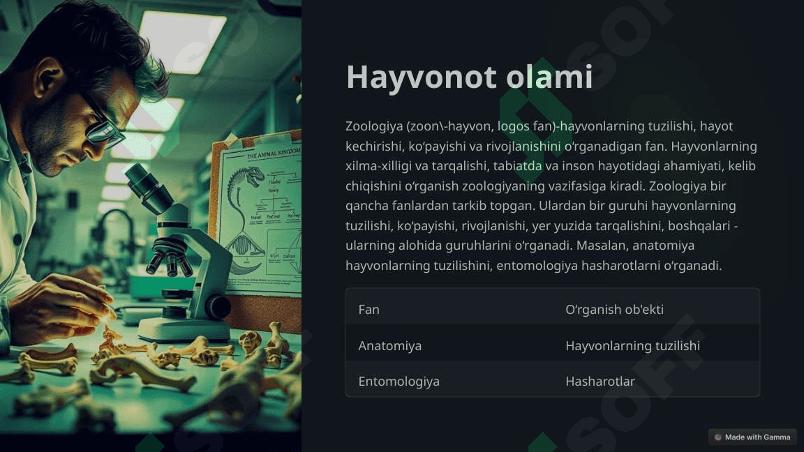 HAYVONOT OLAMINING XILMA-XILLIGI VA UNING TABIATDA TUTGAN O’RNI 3