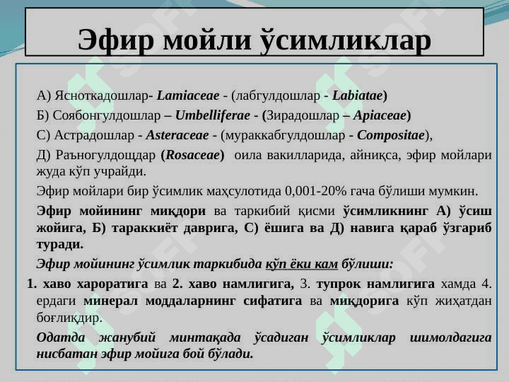 Таркибида терпеноидлар (эфир мойлари) бўлган ўсимликлар ва махсулотлар 6