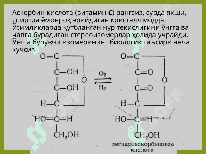 ТАРКИБИДА ВИТАМИНЛАР БЎЛГАН ДОРИВОР ЎСИМЛИКЛАР ҲАМДА МАҲСУЛОТЛАР 6