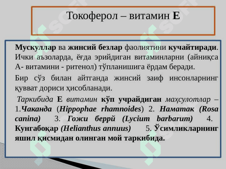 Витамин сақловчи доривор ўсимликлар 8