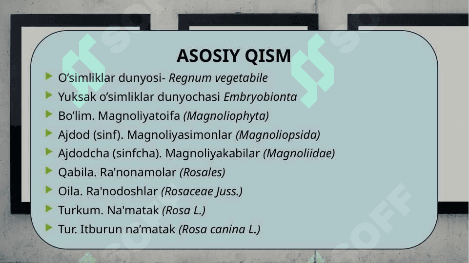 Itburun na’matak, Роза сабачья Шиповник обикновенный Rosa canina L. yetishtirish texnologiyasi. 6