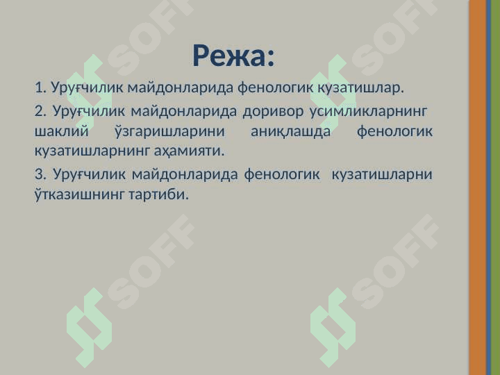 УРУҒЧИЛИК МАЙДОНЛАРИДА ФЕНОЛОГИК КУЗАТИШЛАР 2