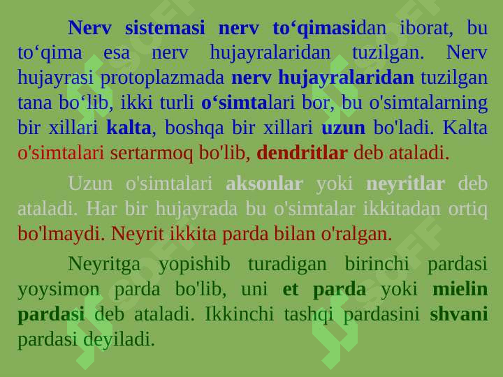 PSIXIKANING NERV-FIZIOLOGIK ASOSLARI 4