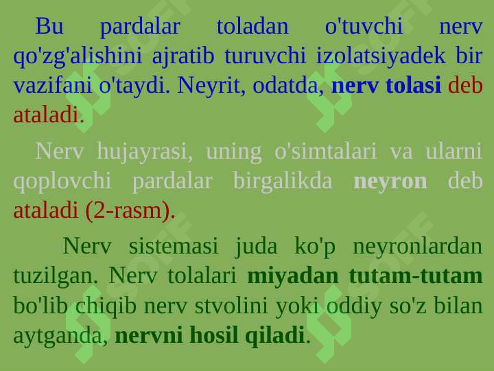 PSIXIKANING NERV-FIZIOLOGIK ASOSLARI 5