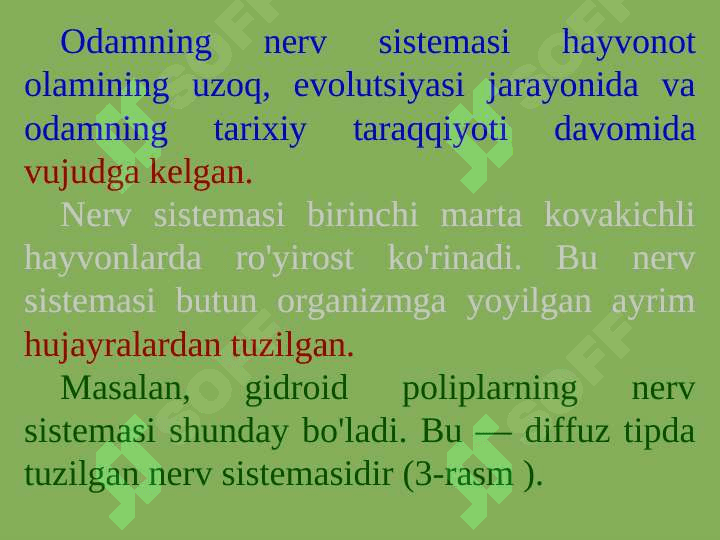 PSIXIKANING NERV-FIZIOLOGIK ASOSLARI 6