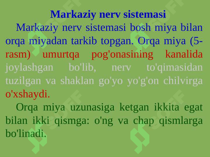 PSIXIKANING NERV-FIZIOLOGIK ASOSLARI 7