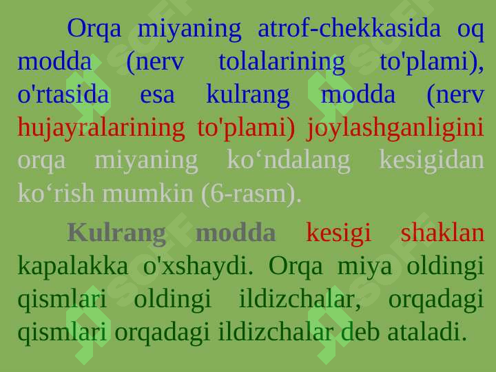 PSIXIKANING NERV-FIZIOLOGIK ASOSLARI 8