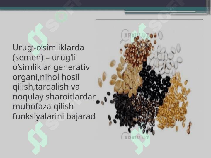 Urug‘larni tuzilishi va tiplari 2