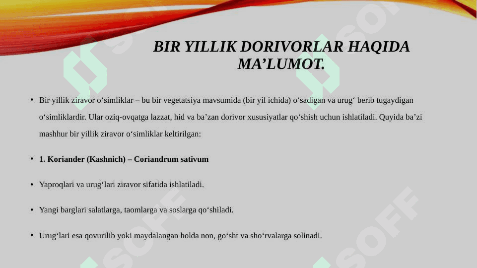 Bir va ikki yillik DORIVOR o’simliklar haqida ma’lumot. 2
