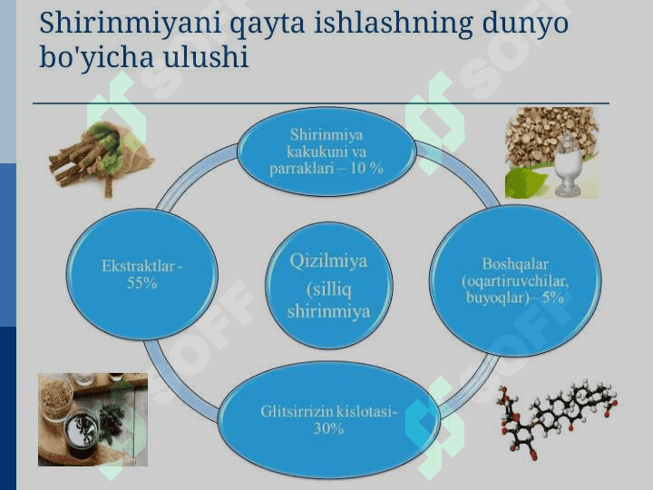 Shirinmiya (Glycirhiza glabra) o’simligini xom-ashyosini tayyorlash,quritish, saqlash va dastlabki qayta ishlash texnologiyasi asosida biznes reja ishlab chiqish 5