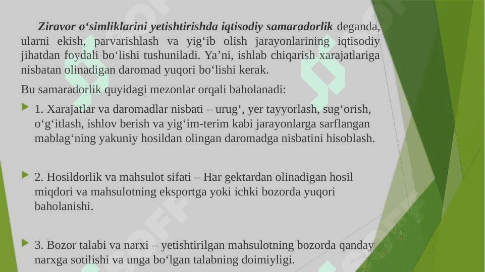 Xushbo’y va ziravor o’simliklarni yetishtirishda iqtisodiy samaradorlik 5