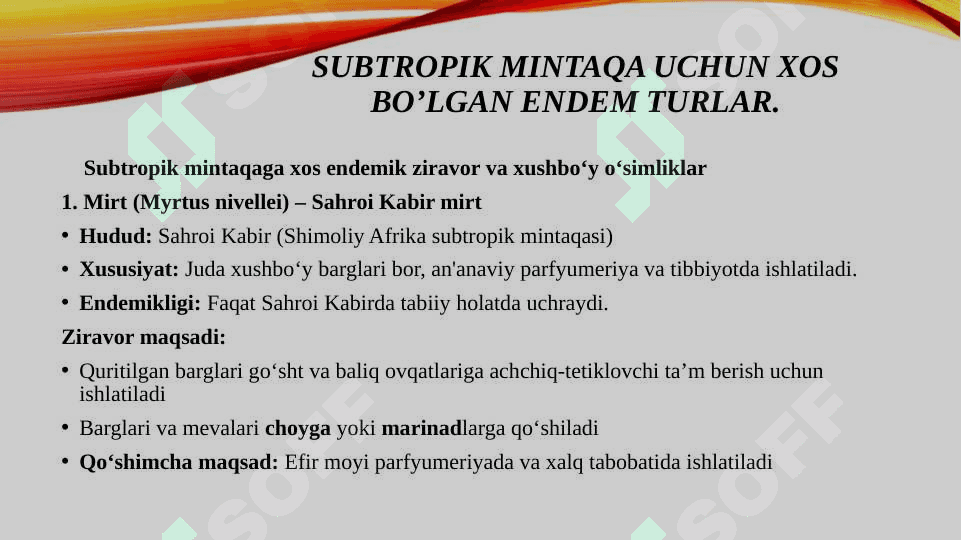 SUBTROPIK MINTAQA XUSHBO’Y VA ZIRAVOR O’SIMLIKLARI 8
