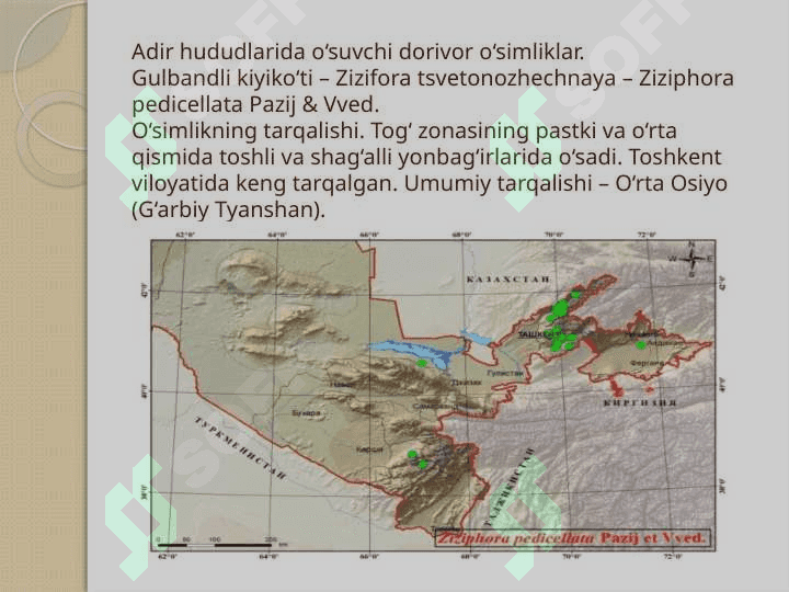 Tog‘ va adir mintaqasida o‘suvchi dorivor o‘simliklar haqida umumiy ma’lumot 6
