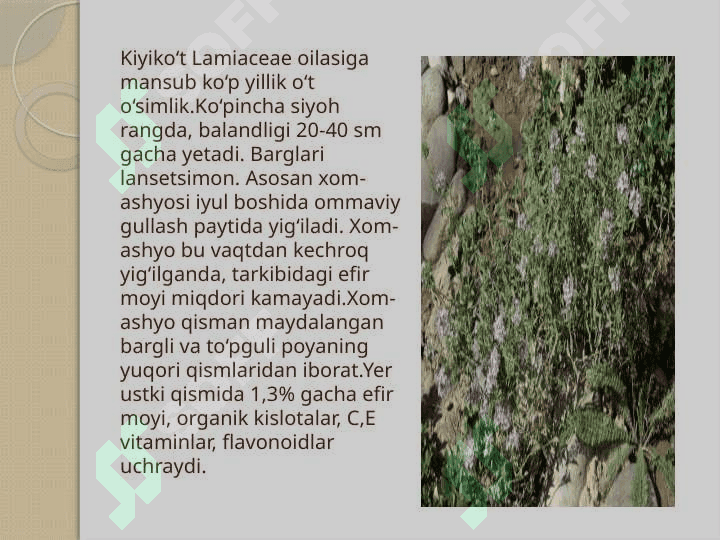 Tog‘ va adir mintaqasida o‘suvchi dorivor o‘simliklar haqida umumiy ma’lumot 7