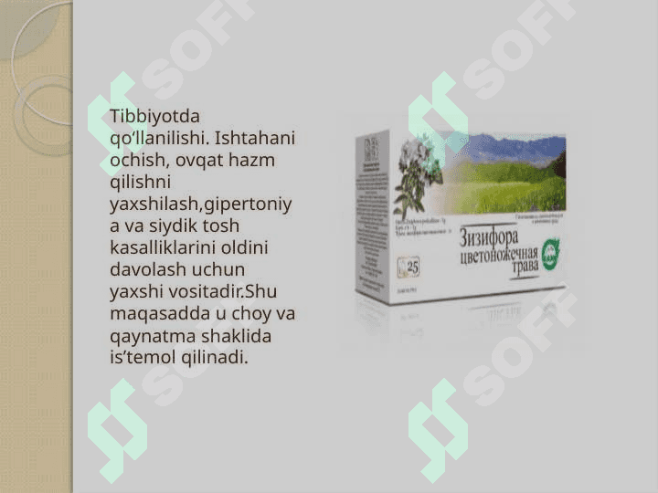 Tog‘ va adir mintaqasida o‘suvchi dorivor o‘simliklar haqida umumiy ma’lumot 8