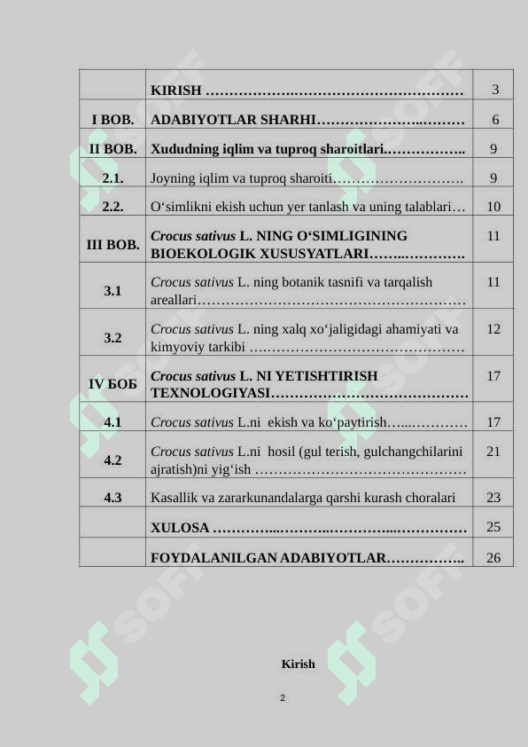Ekma za'faron - Crocus sativus L. ni yetishtirish texnologiyasi 2