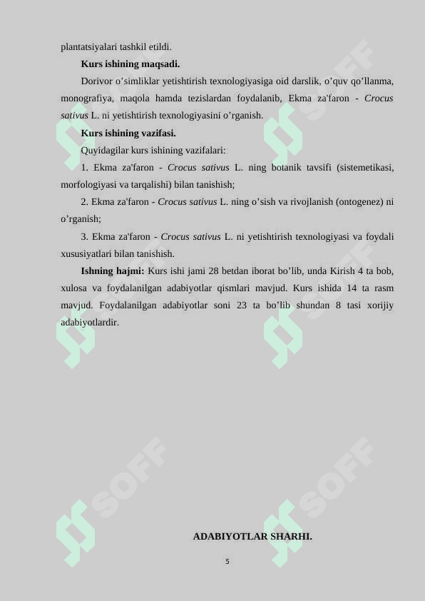 Ekma za'faron - Crocus sativus L. ni yetishtirish texnologiyasi 5
