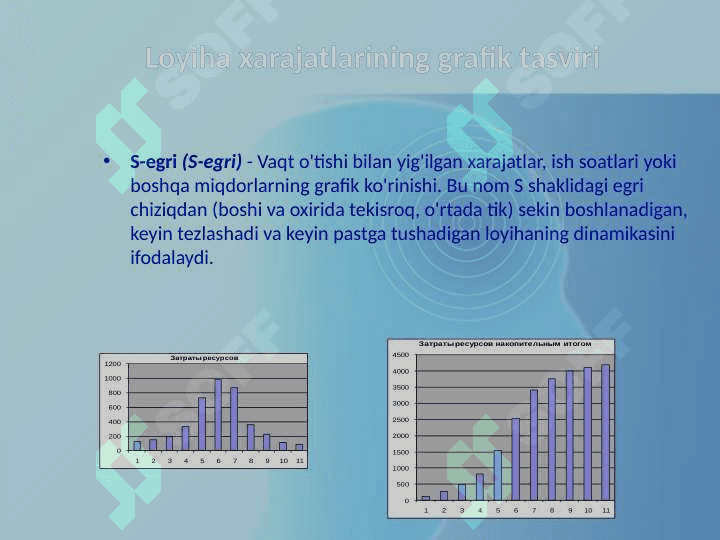Nazorat qilishga tayyorgarlik va uning bosqichlari 8
