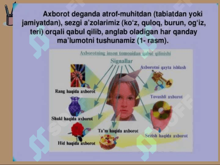 SEZGI TUG'RISIDA UMUMIY TUSHUNCHA 5