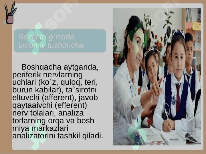 SEZGI TUG'RISIDA UMUMIY TUSHUNCHA 6