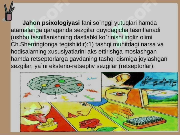 SEZGI TUG'RISIDA UMUMIY TUSHUNCHA 7