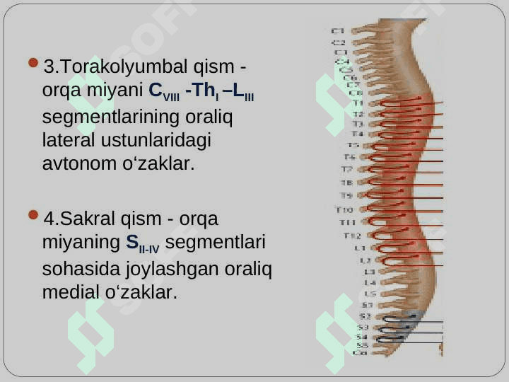 Vegetativ nerv tizimi xaqida umumiy ma’lumotlar. Simpatik va parasimpatik nerv tizimining funksional anatomiyasi. 5