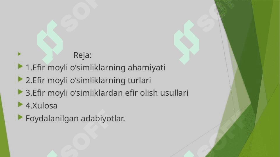 Dunyoning efir moyli o‘simliklari 2
