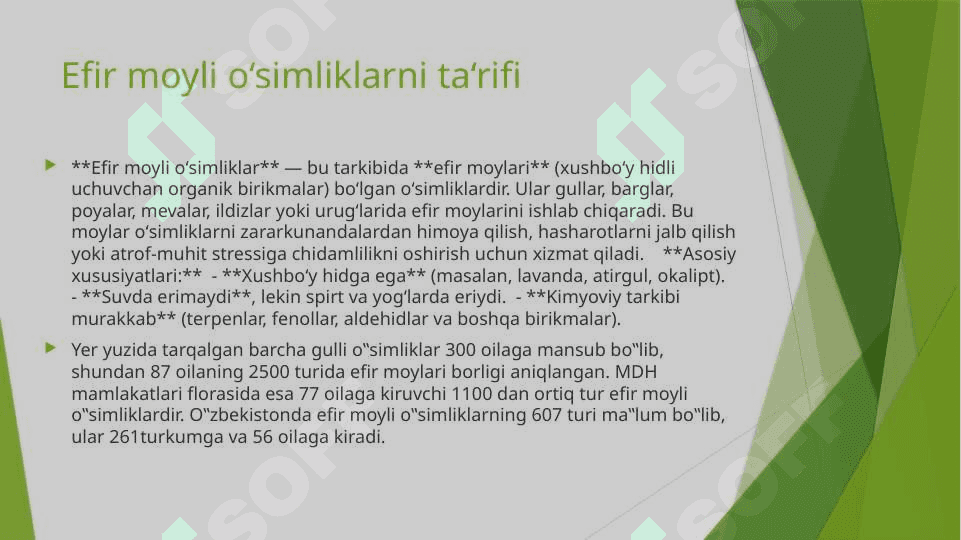 Dunyoning efir moyli o‘simliklari 3