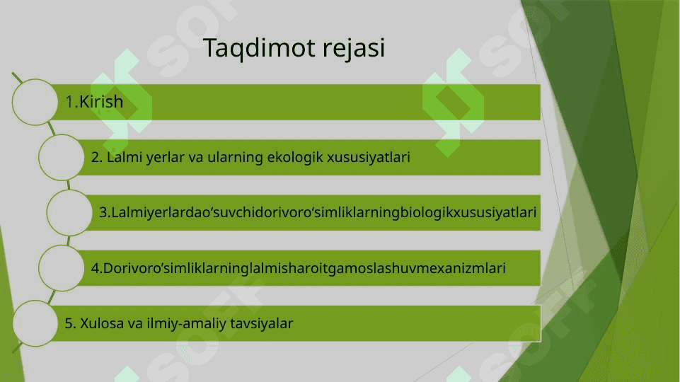 Lalmi yerlarda o’sadigan dorivor o’simliklar ekologiyasi va biologiyasi 2