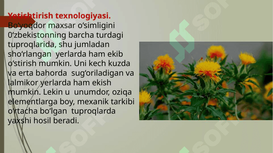 Lalmi yerlarda dorivor o‘simliklarni yetishtirish texnologiyasi 6