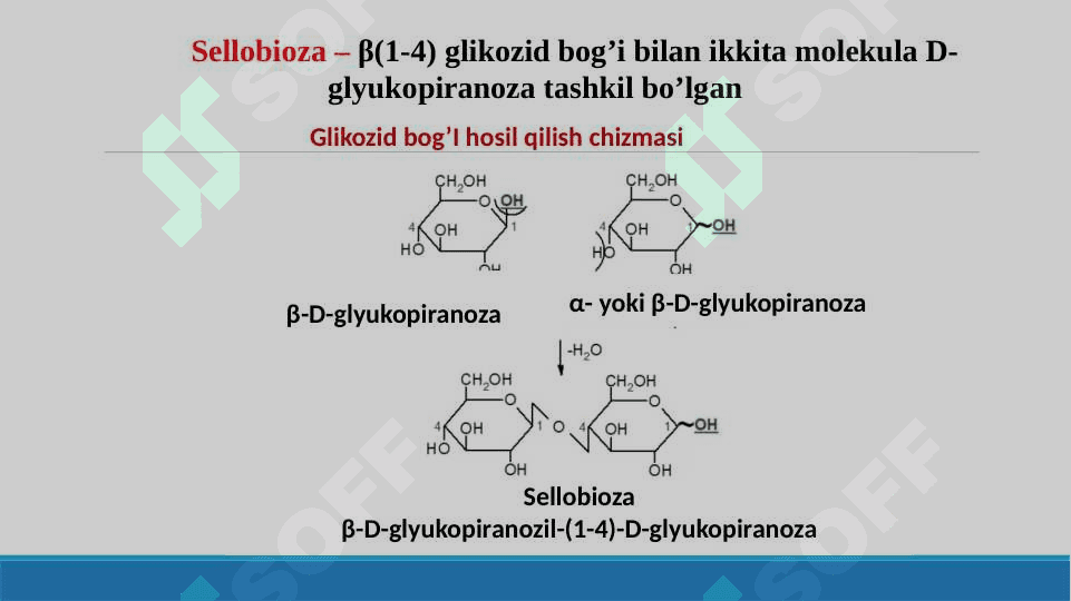 Di va gomopolisaxaridlar 5
