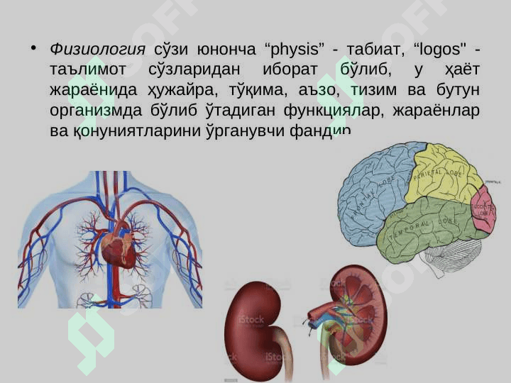 Физиология фани, ривожланиши, тиббиётда аҳамияти. 4
