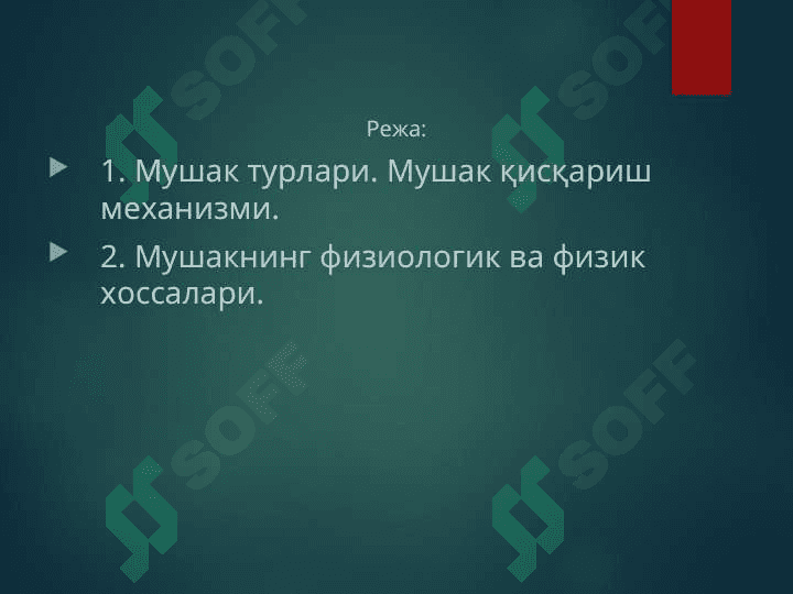 Мушак физиологияси 2