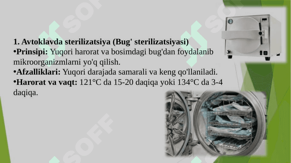 Sterilizatsiya 2
