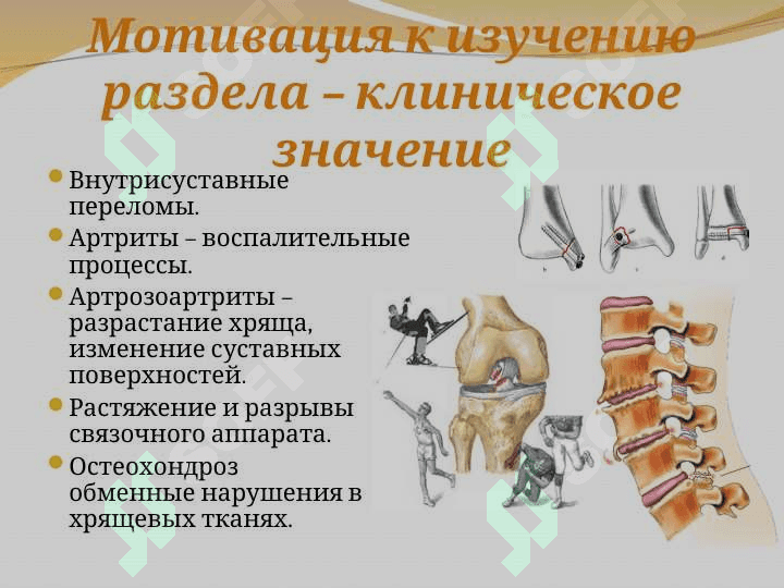 Синдесмология 3